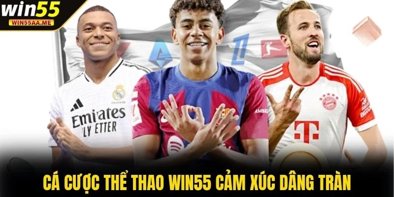 WIN55 16 Cá cược thể thao WIN55 cảm xúc dâng tràn
