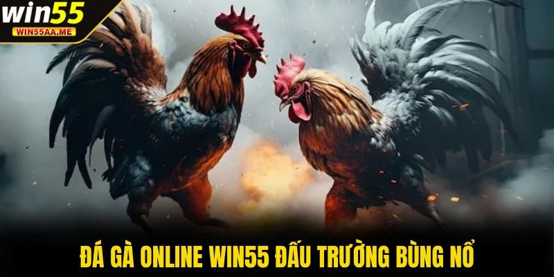 WIN55 17 Đá gà online WIN55 đấu trường bùng nổ